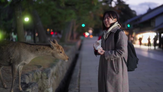 女游客在奈良公园用鹿米饼喂鹿