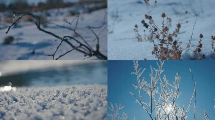 初雪雾凇纯净唯美视频