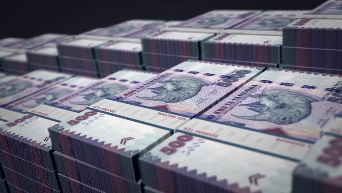 坦桑尼亚先令钞票包成长循环
