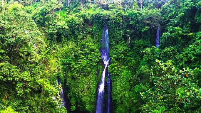 斐济瀑布从茂密的热带雨林悬崖上倾泻而下，形成水池。