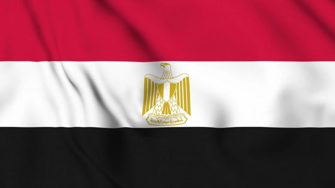 挥舞着埃及国旗视频背景。现实的慢动作动画埃及国旗
