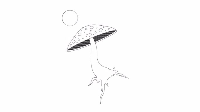 魔法蘑菇飞木耳bw轮廓2D物体动画。