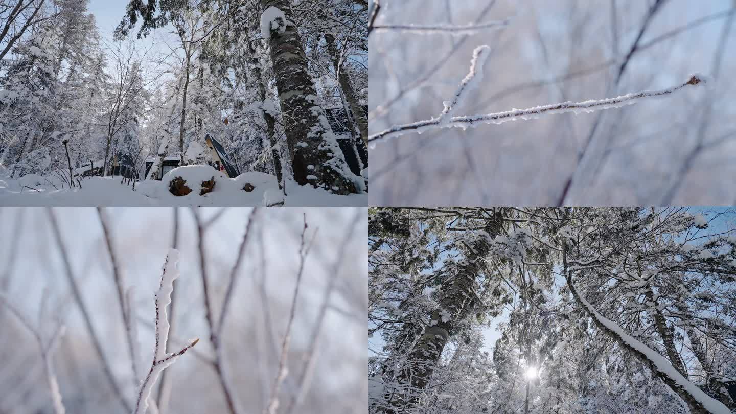 东北的雪