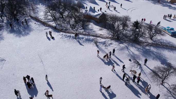 长白山雪岭驯鹿园