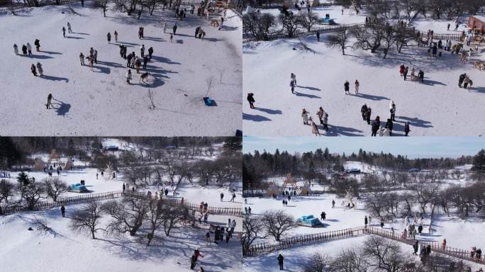 长白山雪岭驯鹿园