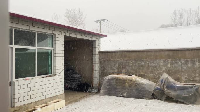 农村小院下雪