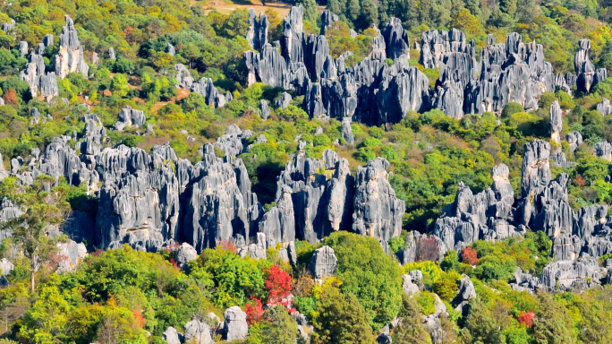 云南石林县风景区4k