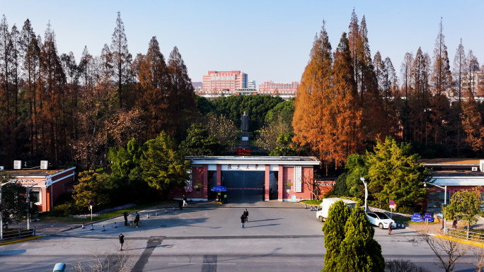 复旦大学 上海复旦大学