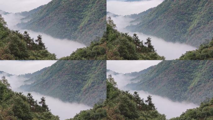 山间云海 云雾缭绕 置身于云层之中