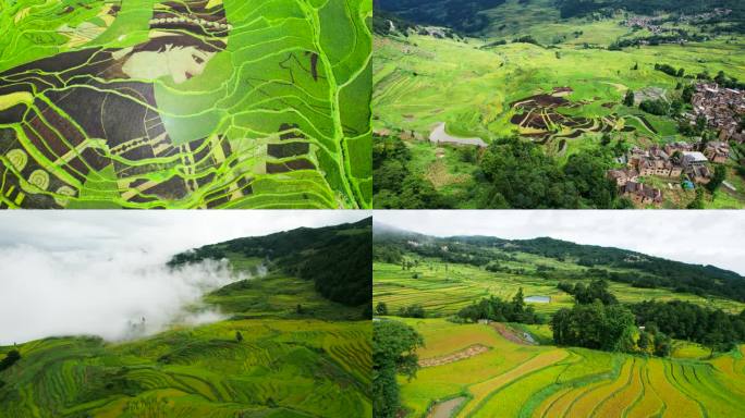 元阳梯田民族风图案艺术梯田