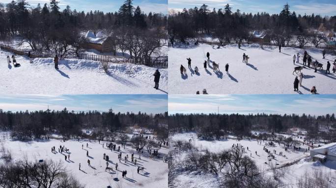 长白山雪岭驯鹿园