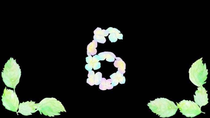 一个倒计时动画与透明的背景设计与彩色绣球花。