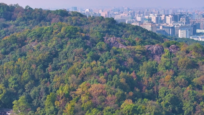 浙江杭州西湖景区宝石山保俶塔航拍北山街素