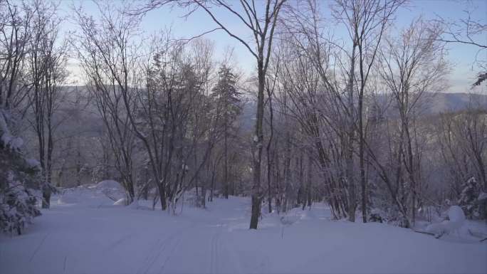 雪地穿越