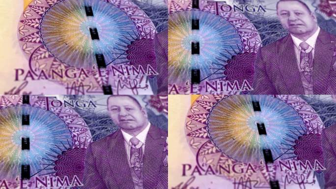 汤加汤安岛五张钞票，五张汤安岛钞票，汤安岛五张钞票，汤安岛五张钞票的特写和宏观视图，跟踪和多利拍摄5