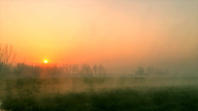 日出 原野 雾气