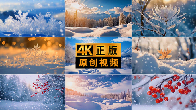 雪景 冰雪 大雪 雾凇 森林 白雪雪 冬