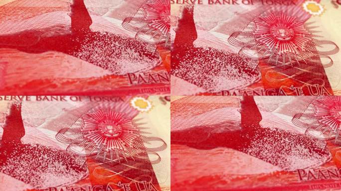 汤加汤安岛2张钞票，两个汤安岛，汤安岛2张钞票的特写和宏观视图，跟踪和多利拍摄2张汤安岛2张钞票的观