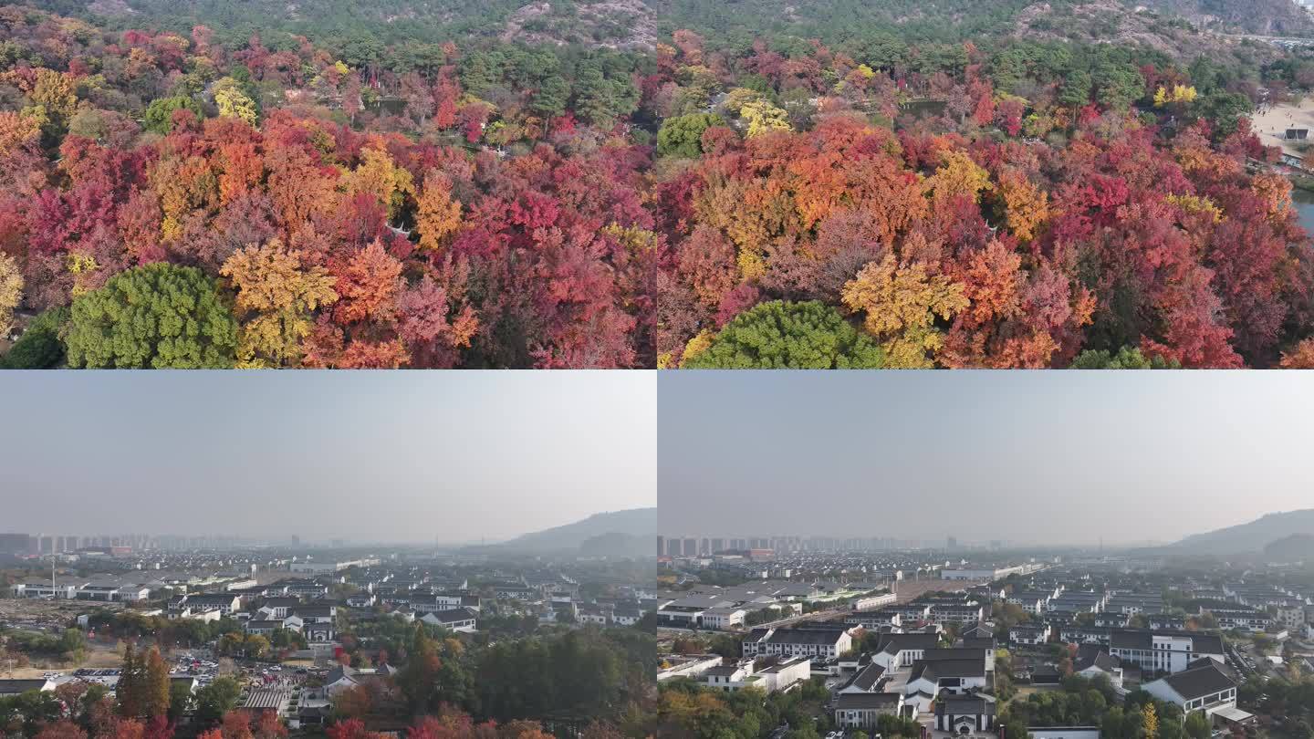 天平山红枫