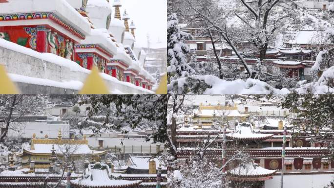 塔尔寺 下雪 建筑