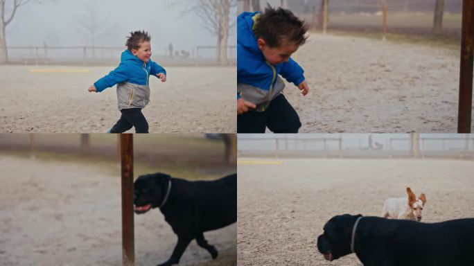 在雾蒙蒙的天气里，穿着冬衣，长着尖毛的快乐男孩在操场上和可爱的狗狗一起奔跑玩耍