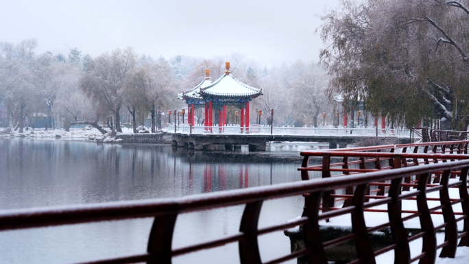 4K50帧 实拍 城市雪景 长春 吉林省