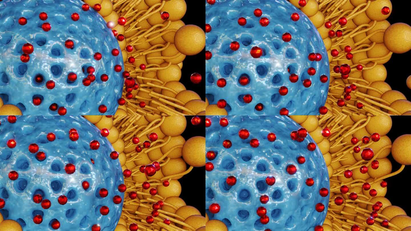 含纳米药物的脂质双层包被介孔二氧化硅纳米颗粒