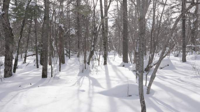 长白山雪岭