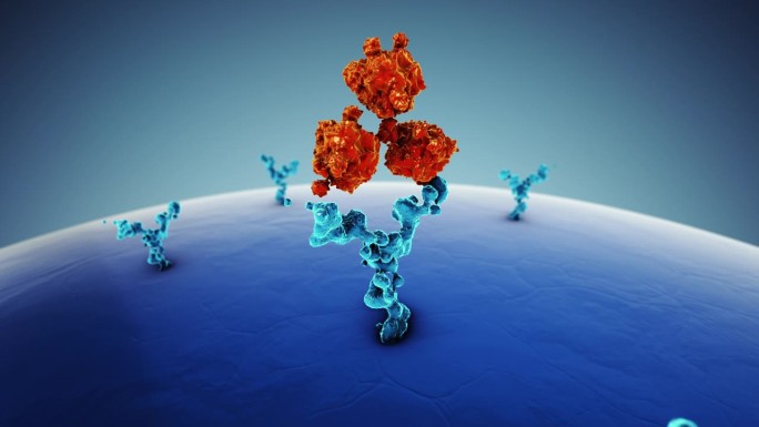 人体细胞受体抗体医学概念