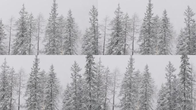 冬季森林暴雪特写空镜头