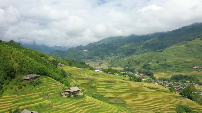 绿色和黄色的水稻梯田点缀着郁郁葱葱的绿色热带山脉，在亚洲，越南，东京，萨帕，靠近老街，在夏天，在一个