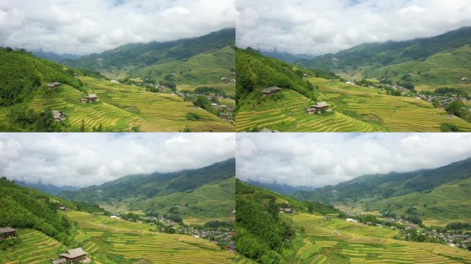 绿色和黄色的水稻梯田点缀着郁郁葱葱的绿色热带山脉，在亚洲，越南，东京，萨帕，靠近老街，在夏天，在一个