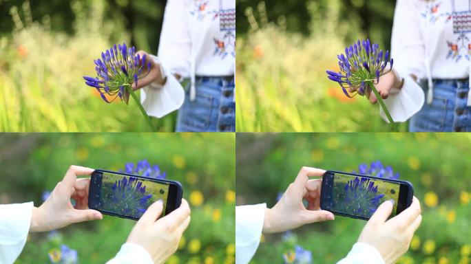 美女 玩花 闻花 拍花 花朵 游玩