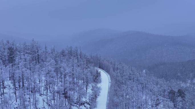 内蒙古大兴安岭冬季雾凇银装素裹雪花纷飞