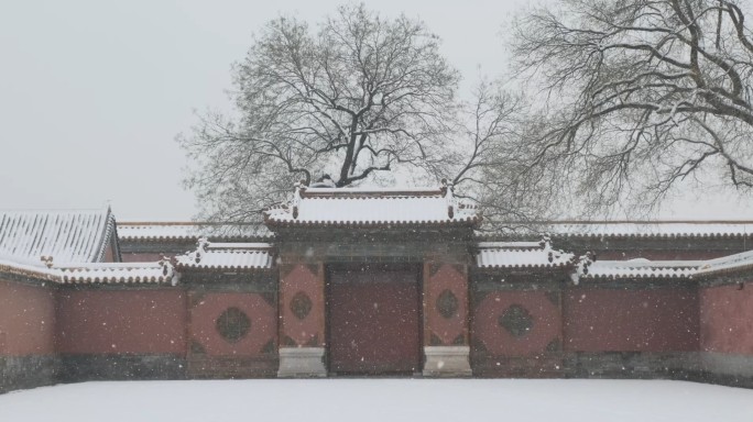 北京故宫紫禁城下雪雪景03