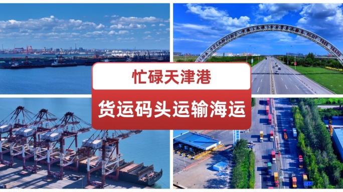 忙碌天津港货运码头运输海运合集