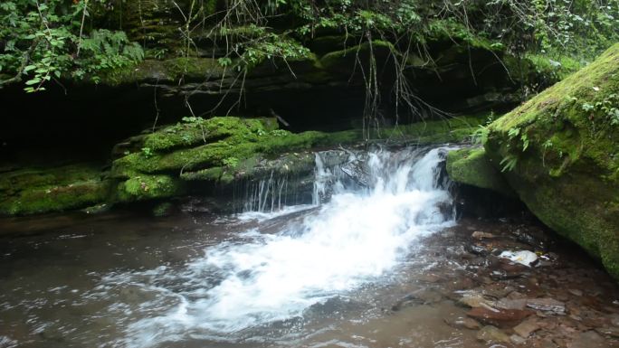 森林岩石上流淌清澈的溪流