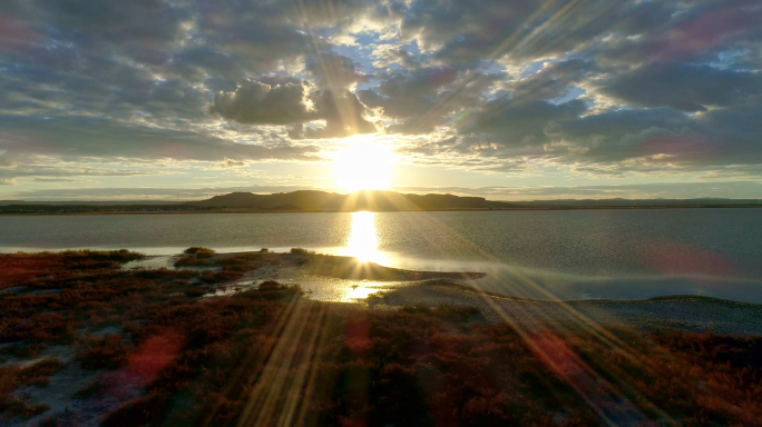 湖水逆光水鸟航拍夕阳余晖