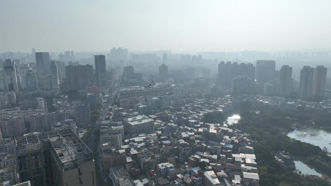 泉州城市上空鸽子飞鸟航拍