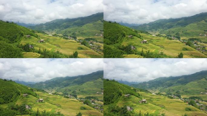 绿色和黄色的梯田背靠绿色的热带山脉，亚洲，越南，东京，萨帕，朝向老街，在夏天，在一个阴天。