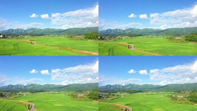 亚洲，越南，东京，奠边府，一个阳光明媚的夏日，一个古老的湖边村庄，山间的稻田被水淹没。