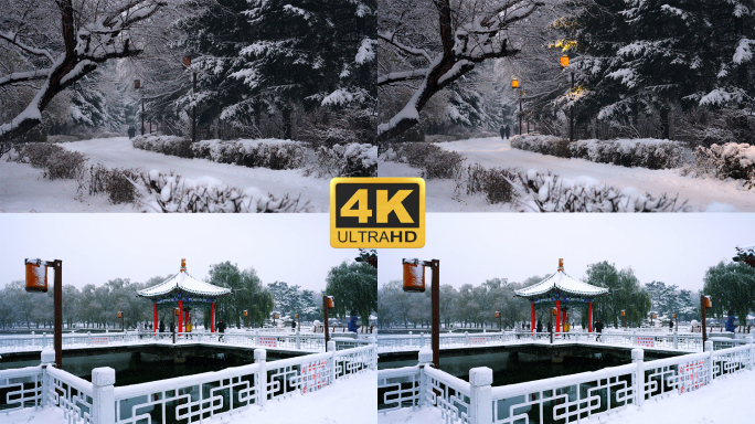 4K50帧 实拍 城市雪景 长春 吉林省