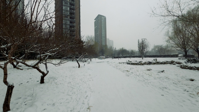 【4K】城市下大雪公园雪景