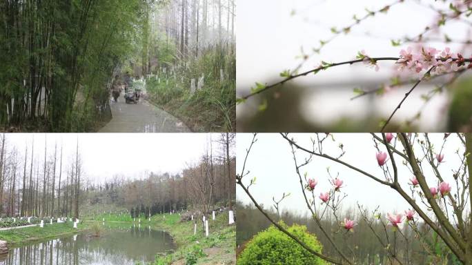 重庆 两江新区 九曲河 湿地公园 春光