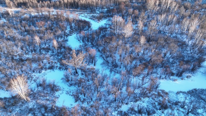 航拍冰雪覆盖的冻土森林湿地