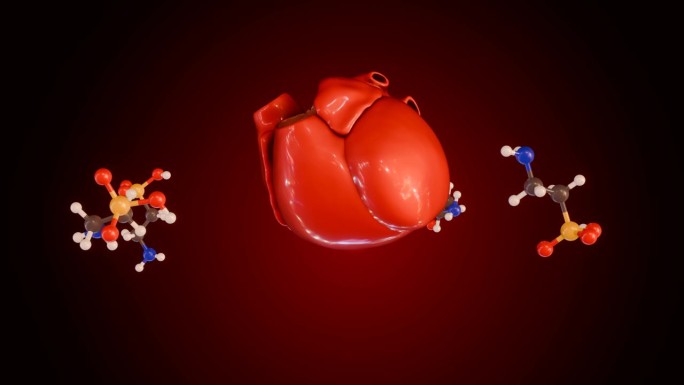 2-氨基乙磺酸或牛磺酸分子旋转着人的心脏