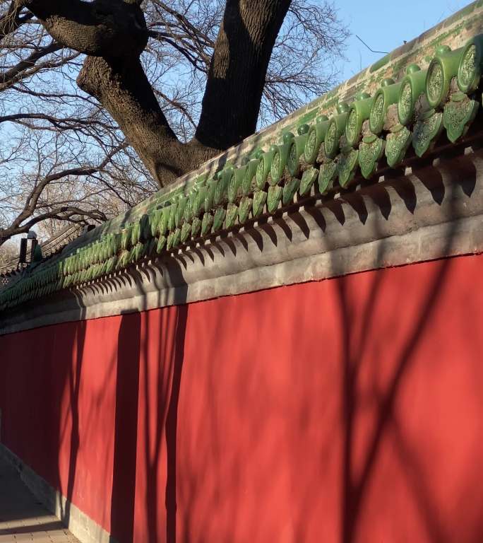 红墙 北京 古建筑 老树 国子监 树影