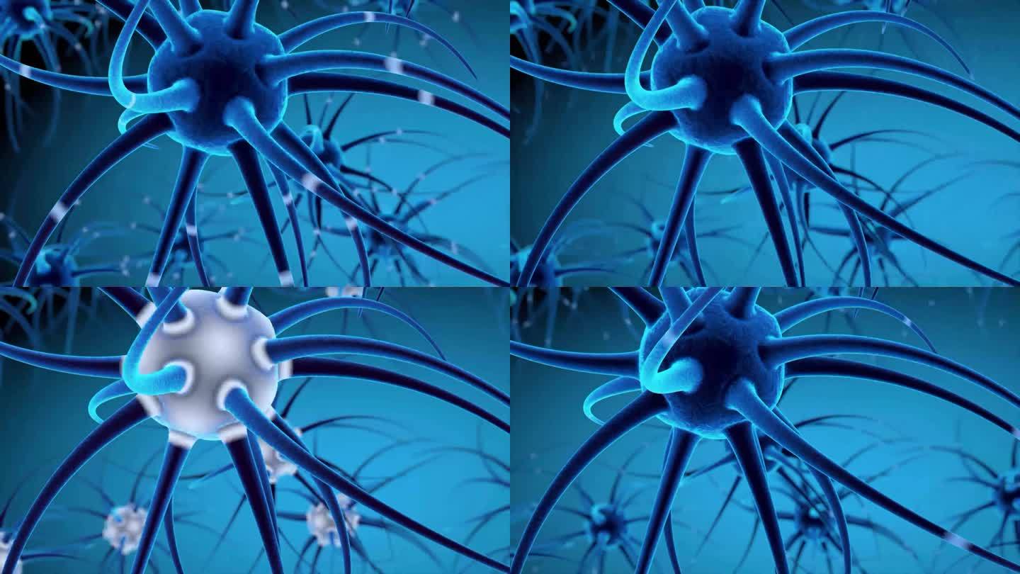 神经元在与人类头部的突触过程中。4 k