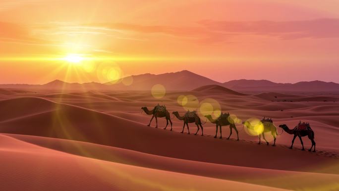 沙漠日出骆驼一带一路