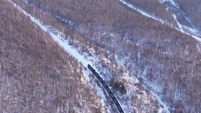 内蒙古大兴安岭冬季银装素裹火车林中穿行